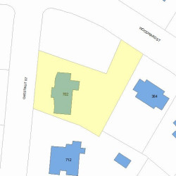 702 Chestnut St, Newton, MA 02468 plot plan