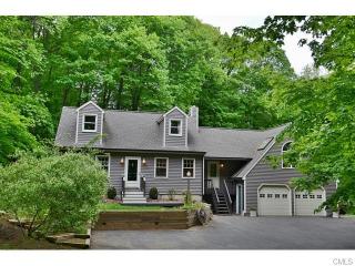 93 Blue Ridge Rd, Ridgefield, CT 06877 exterior