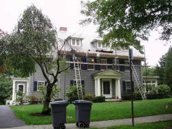 63 Windsor Rd, Newton, MA 02468 exterior