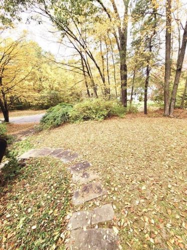 22 Burnwood Dr, Bloomfield, CT 06002 exterior