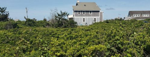 60 Nobadeer Ave, Nantucket, MA 02554 exterior