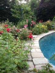 12 Mauweehoo Hl, Sherman, CT 06784 exterior