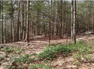 262 North Rd, Easthampton, MA 01027 exterior