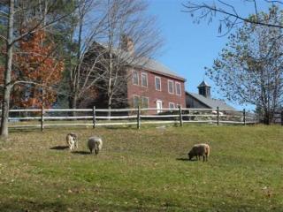 160 Stone Chimney Rd, Reading Center, VT 05062 exterior