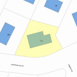 251 Auburndale Ave, Newton, MA 02466 plot plan