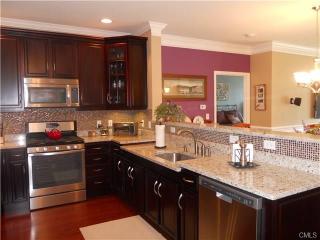 202 Center Meadow Ln, Danbury, CT exterior