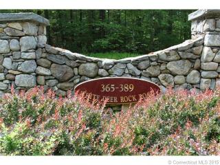 369 White Deer Rock Rd, Waterbury, CT 06762 exterior