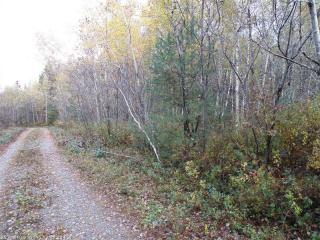 4 Scott Ln, Machias, ME 04654 exterior