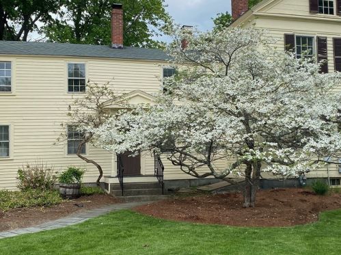 39 Concord Rd, Billerica, MA 01821 exterior