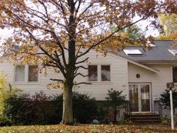 60 Arlo Rd, Newton, MA 02464 exterior