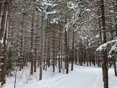 10 White Rd, Presque Isle, ME 04769 exterior