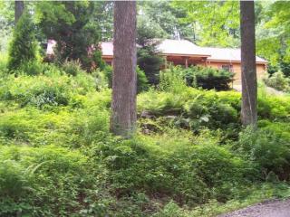 1527 Fuller Hill Rd, Whitingham, VT 05361 exterior
