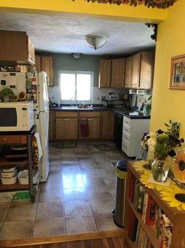 14 Courtland St, Worcester, MA 01602 exterior