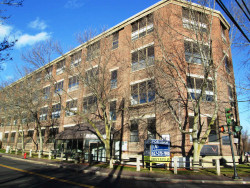 1238 Chestnut St, Newton, MA 02464 exterior