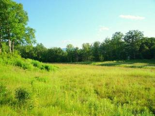 6 Sweet Farm Rd, Williamstown, MA 01267 exterior