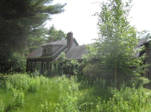 217 Mount Delight Rd, Deerfield, NH 03037 exterior