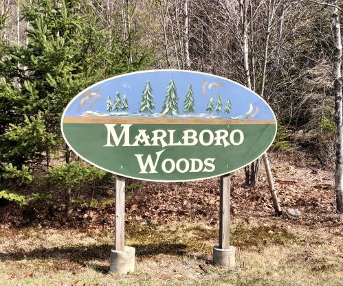 131 Lydias Ln, Lamoine, ME 04605 exterior