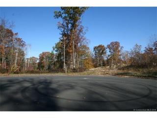 47 Hill Farm Way, Winsted, CT 06063 exterior