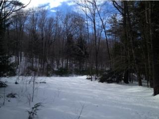 3 Stage Rd, Sanbornton, NH 03269 exterior