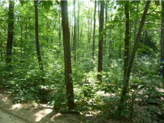 13 Nottingham Rd, Canterbury, NH 03224 exterior