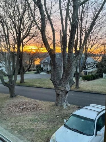 4 Acacia Dr, Middletown, RI 02842 exterior