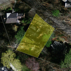 75 Intervale Rd, Newton, MA 02459 aerial view