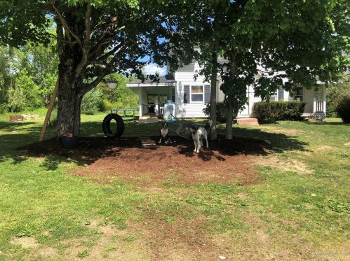 114 South Rd, Topsfield, ME 04490 exterior