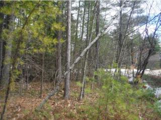 12 Riverwood Cir, Effingham, NH 03882 exterior