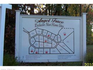 16 Angel Trace Rd, Ellington, CT 06029 exterior