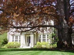 661 Commonwealth Ave, Newton, MA 02459 exterior