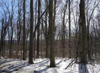 3 Trouble St, Cummington, MA 01026 exterior