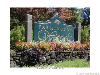 41 Great Meadow Ln, Farmington, CT exterior