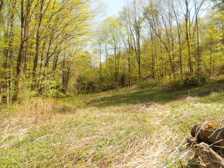 6 Kennedy Dr, Litchfield, CT 06778 exterior