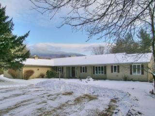 290 Forge Hill Ln, Lincoln, VT 05443 exterior
