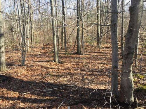7 Old Westminster Rd, Hubbardston, MA 01452 exterior