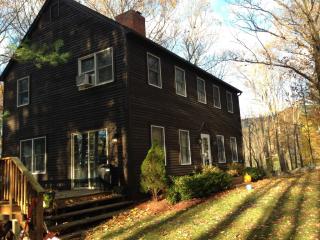 305 Mead Ln, Middlebury, VT 05753 exterior