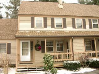 130 Winterwood Dr, Londonderry, NH 03053 exterior