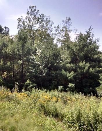 1 Oakhurst Rd, Sutton, MA 01590 exterior