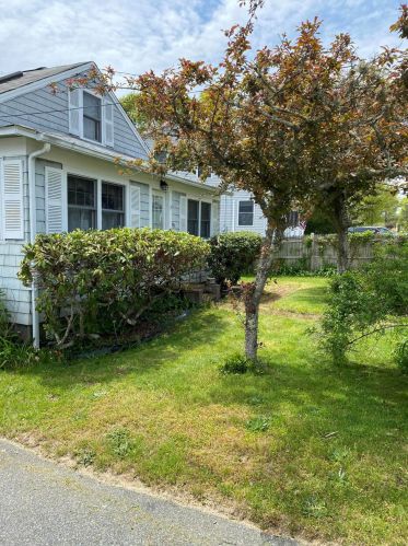 69 Bayside Dr, Teaticket, MA 02536 exterior