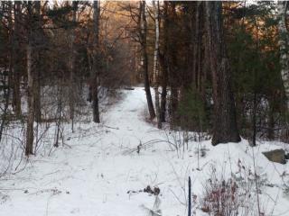 49 Smith Garrison Rd, Newmarket, NH 03857 exterior