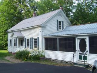 461 Grafton Rd, Townshend, VT 05353 exterior