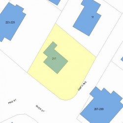 217 River St, Newton, MA 02465 plot plan