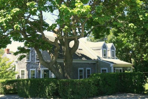 26 Prospect St, Nantucket, MA 02554 exterior