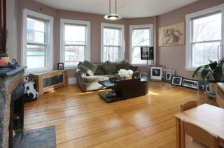 8 Lamartine Ter, Roxbury-Xing, MA 02130 exterior