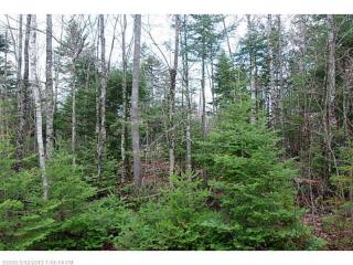 3 Bucksmills Rd, Bucksport, ME 04416 exterior