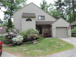 2 Owls Ct, Merrimack, NH 03054 exterior