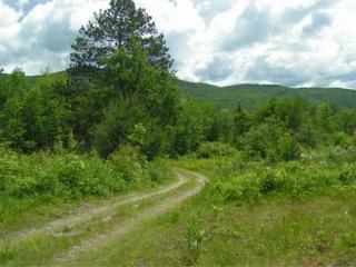 531 Groton Rd, Groton, NH 03241 exterior