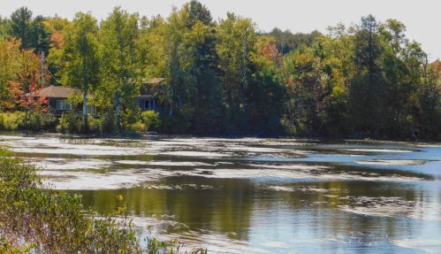207 Harlow Pond Rd, Parkman, ME 04443 exterior
