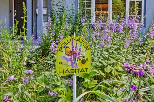 24 Myrtle Ave, Wakefield, MA 01880 exterior