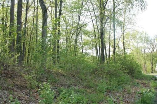 44 Deer Run Rd, Brookfield-Center, CT 06804 exterior